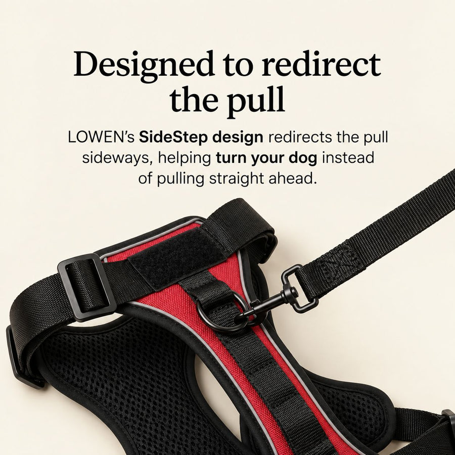 No-Pull Harness