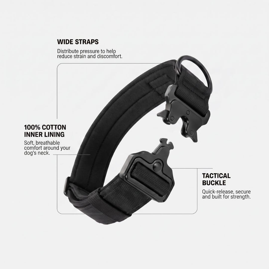 Dog Collar