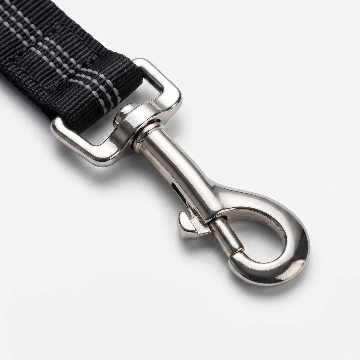 Bungee Dog Leash