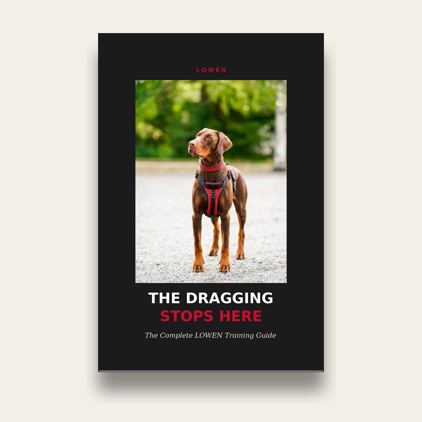 THE DRAGGING STOPS HERE - The Complete LOWEN Training Guide