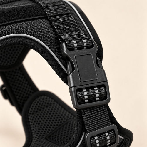 Quick-Release Buckle