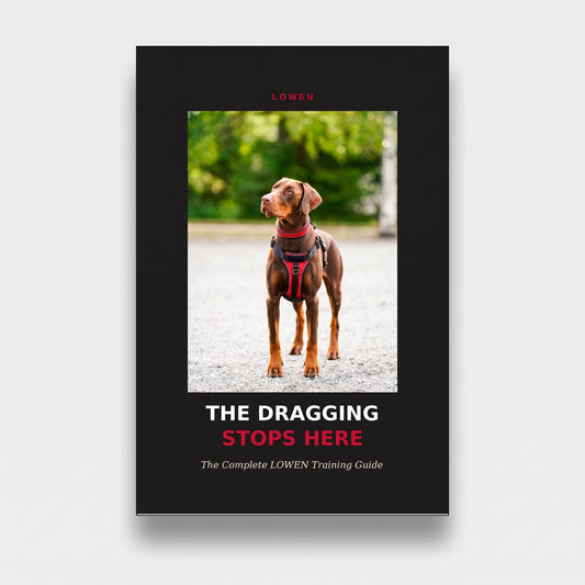 THE DRAGGING STOPS HERE - The Complete LOWEN Training Guide