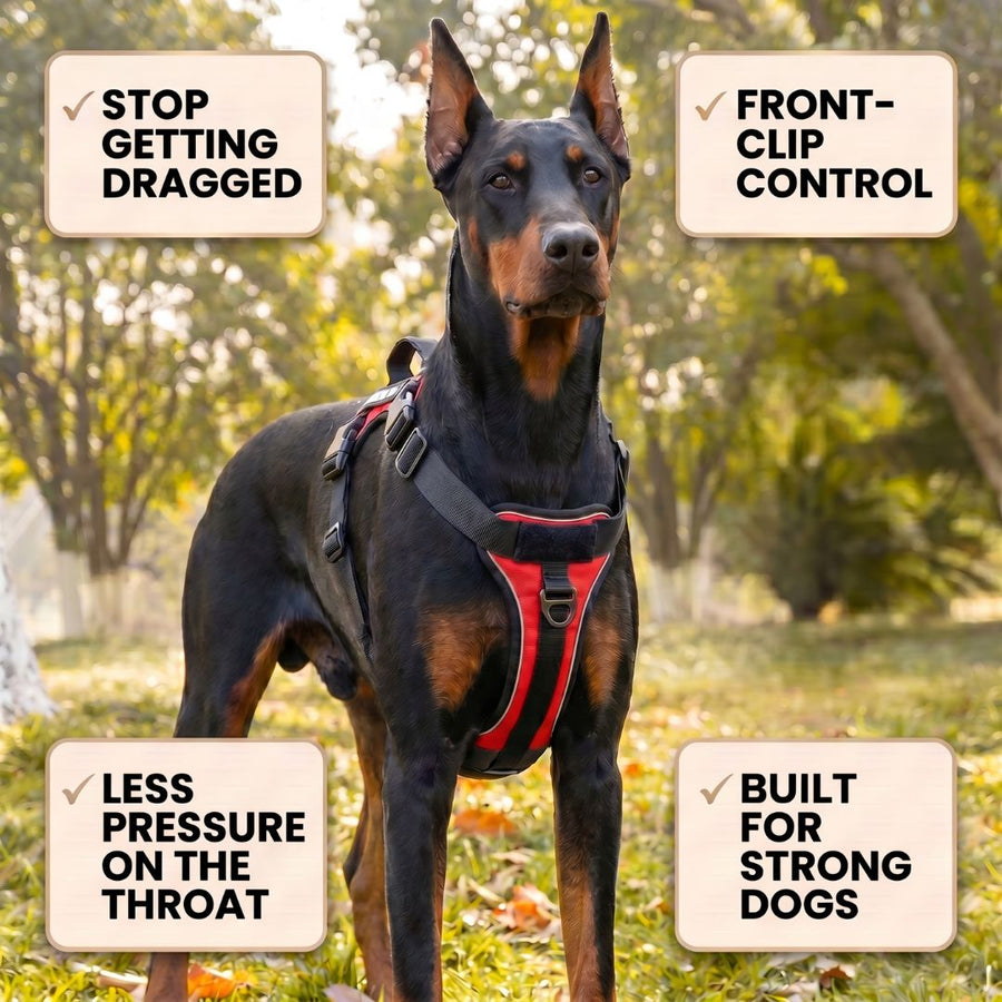 LOWEN™ No-Pull Harness