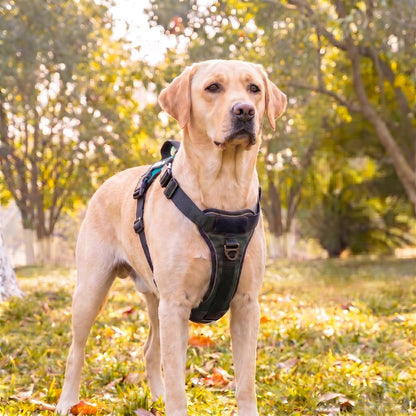 LOWEN™ No-Pull Harness
