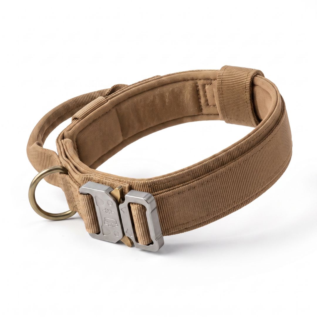 Dog Collar