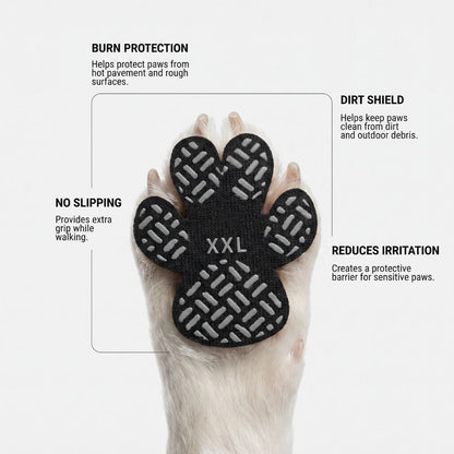 Dog Paw Protection