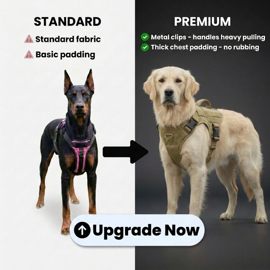 Upgrade to PREMIUM No-Pull Harness [LAST TIME OFFER]