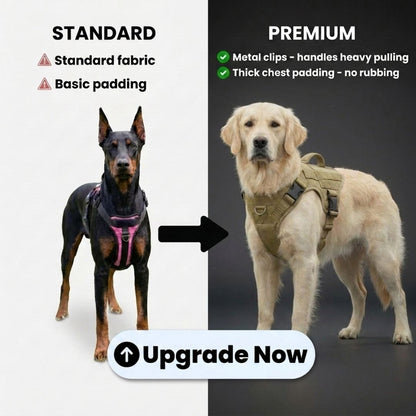 Upgrade to PREMIUM No-Pull Harness [LAST TIME OFFER]