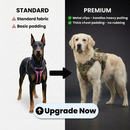Upgrade to PREMIUM No-Pull Harness [LAST TIME OFFER]