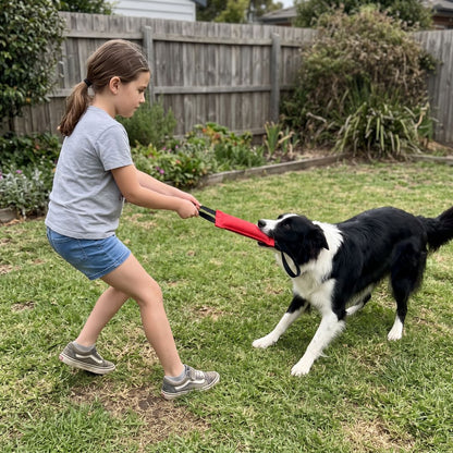 Tug Toy for Dogs