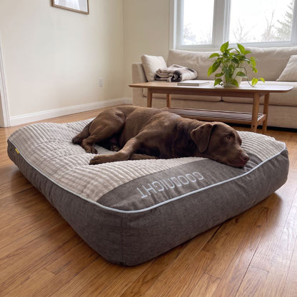 Dog Cushion