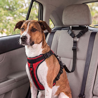Car Safety Leash