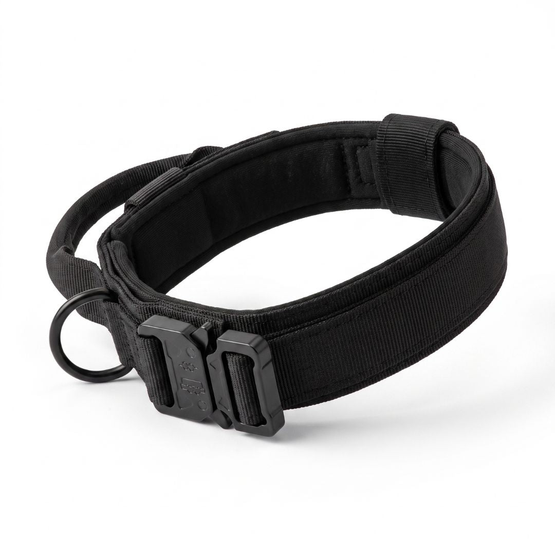Dog Collar