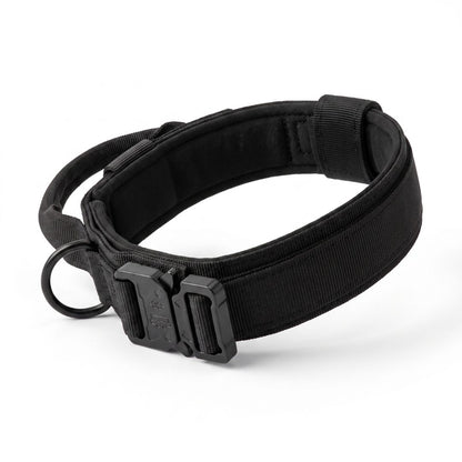 Dog Collar