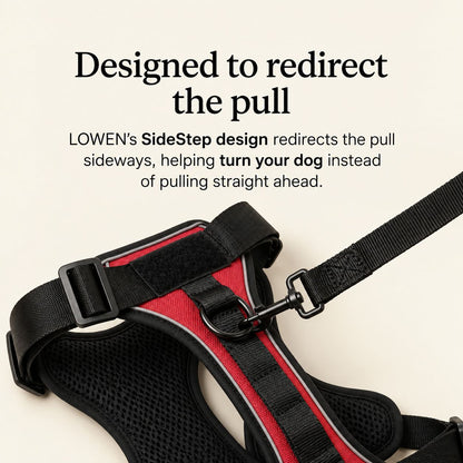 No-Pull Harness
