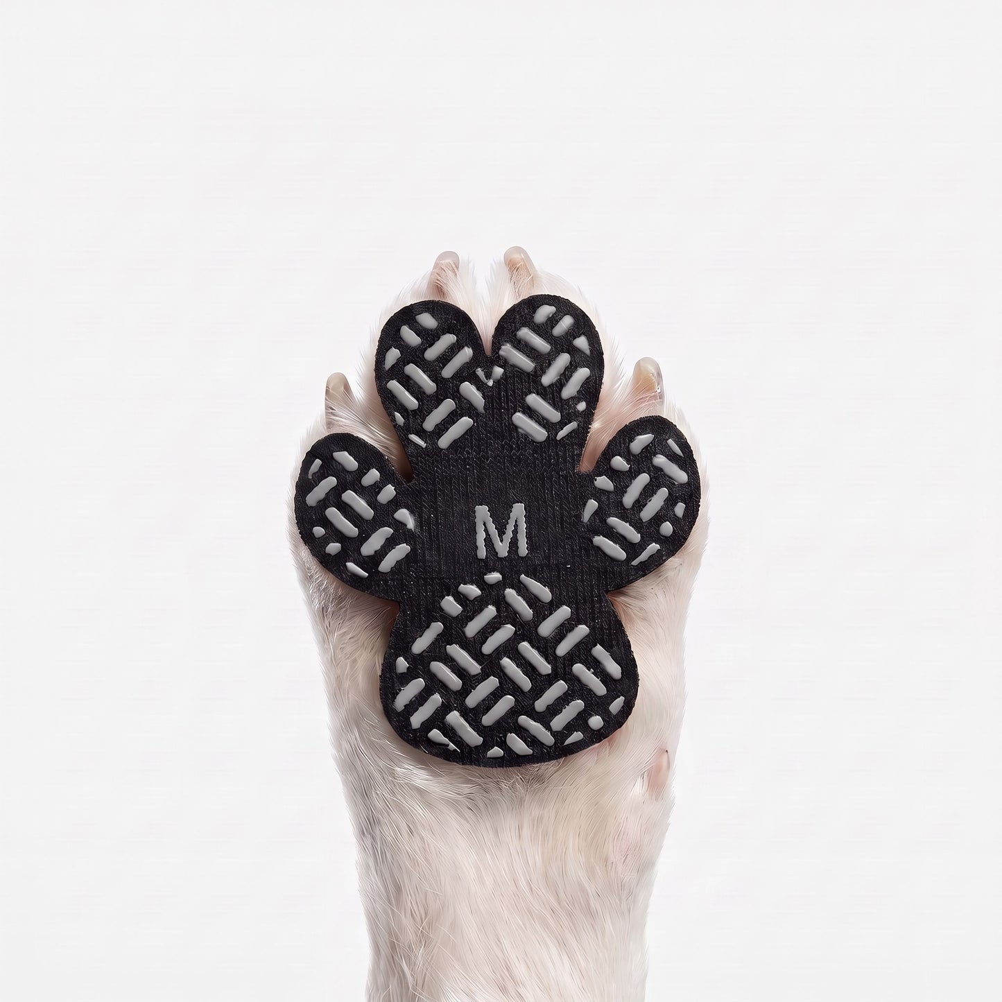 Dog Paw Protection