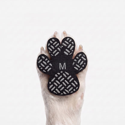 Dog Paw Protection
