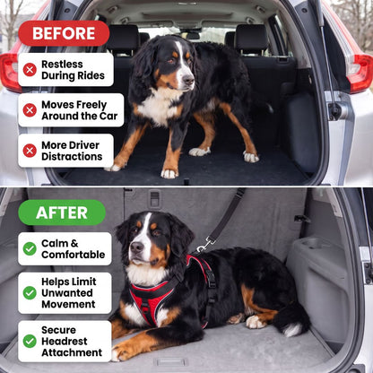 Car Safety Leash