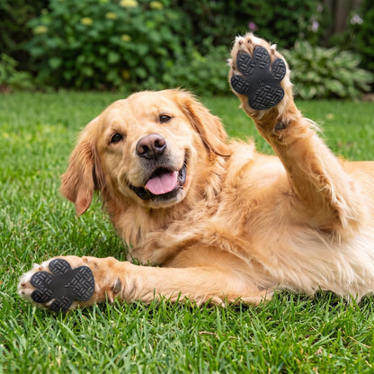 Dog Paw Protection