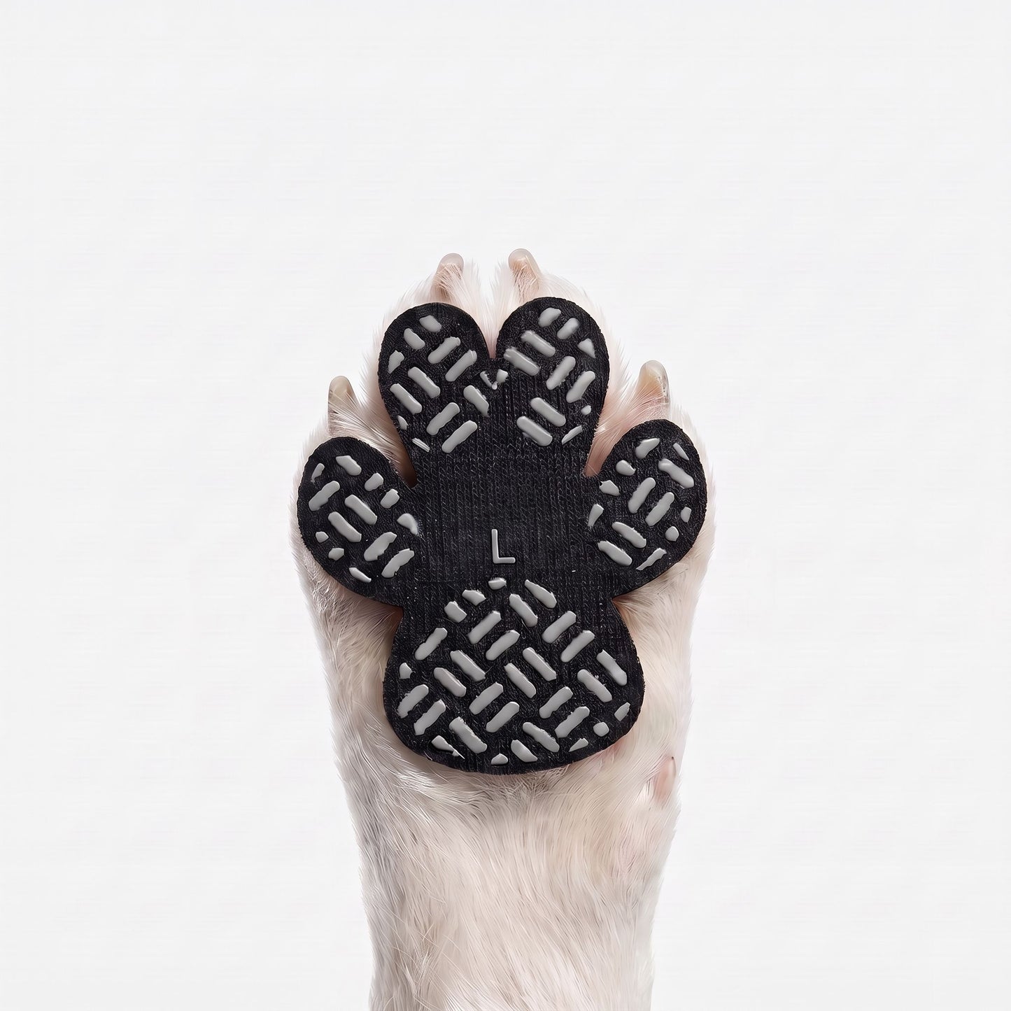 Dog Paw Protection