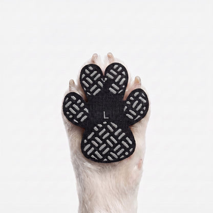 Dog Paw Protection