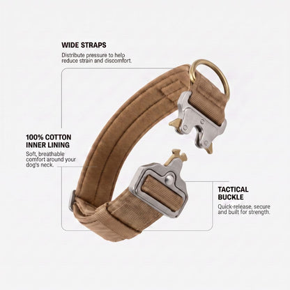 Dog Collar