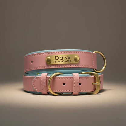 Personalized Dog Collar
