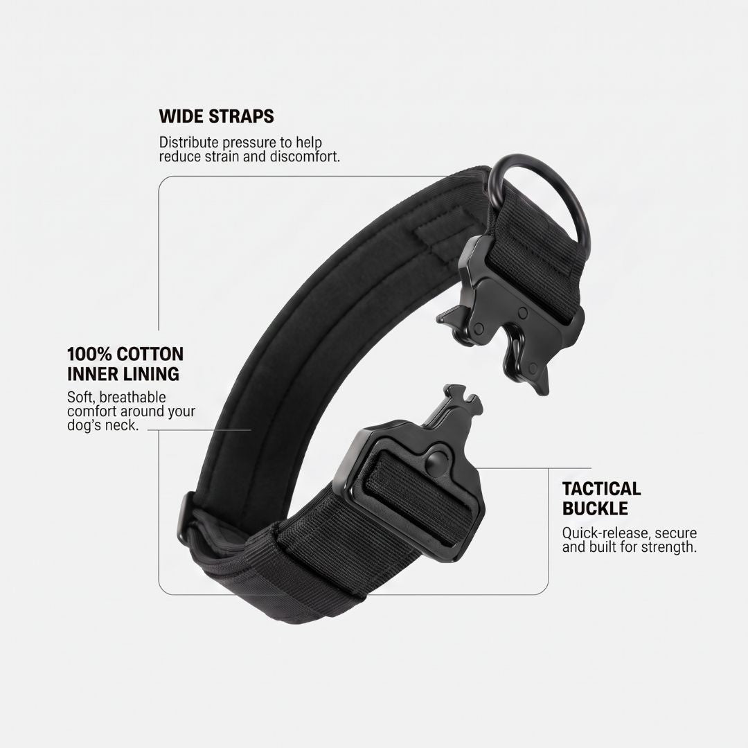 Dog Collar