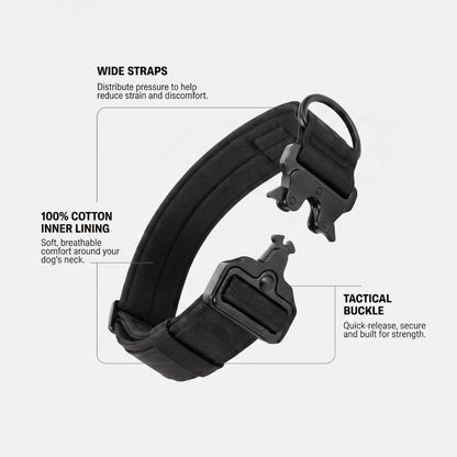 Dog Collar