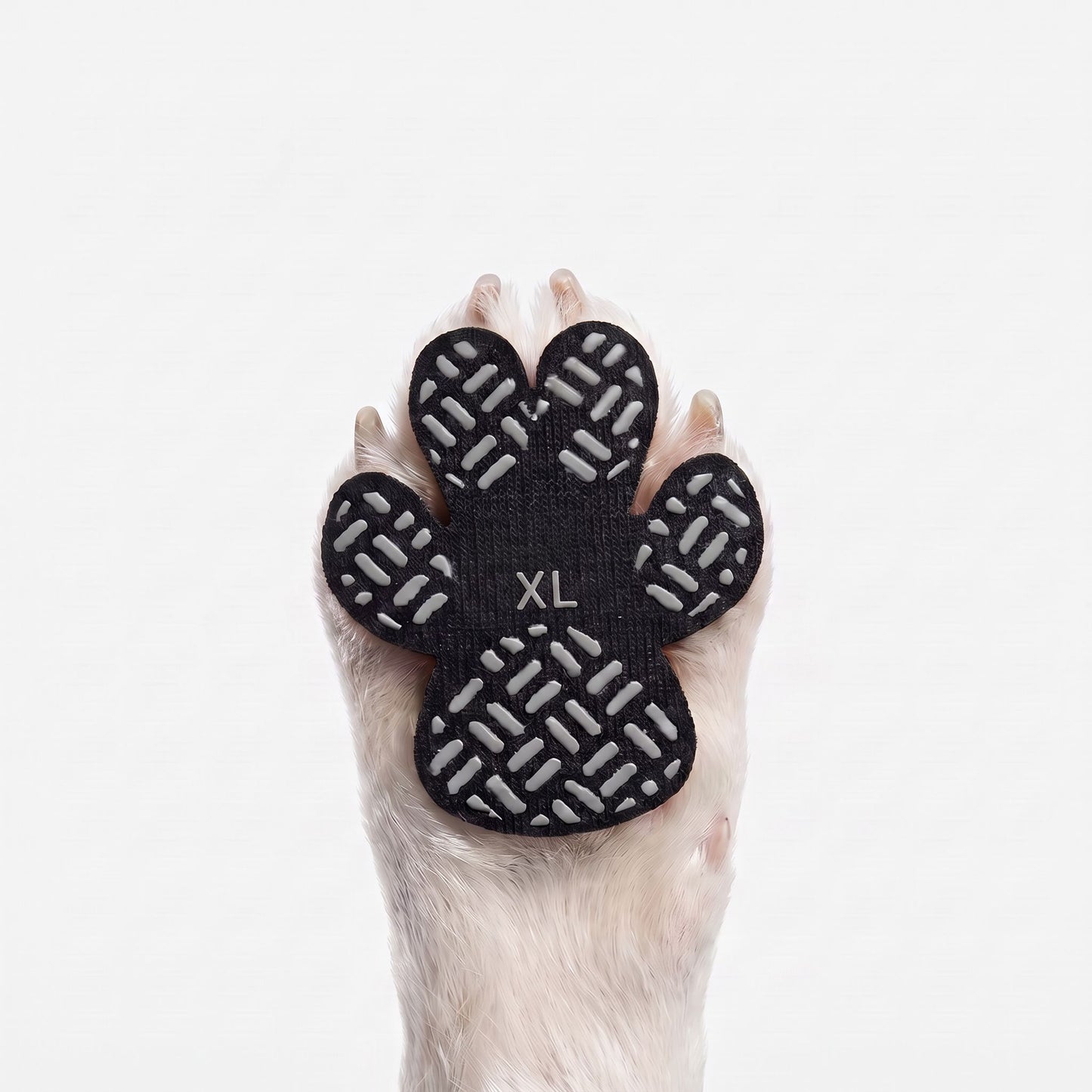 Dog Paw Protection