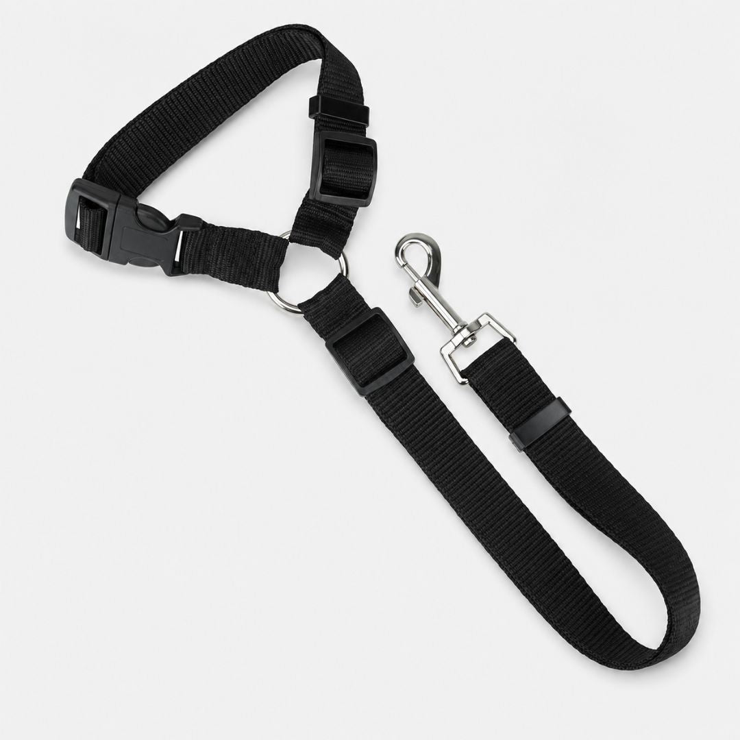 Car Safety Leash