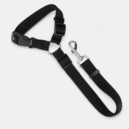 Car Safety Leash