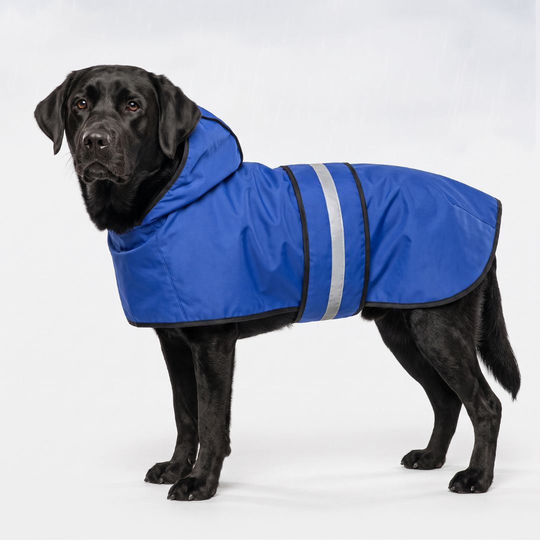 RainCoat for Dogs