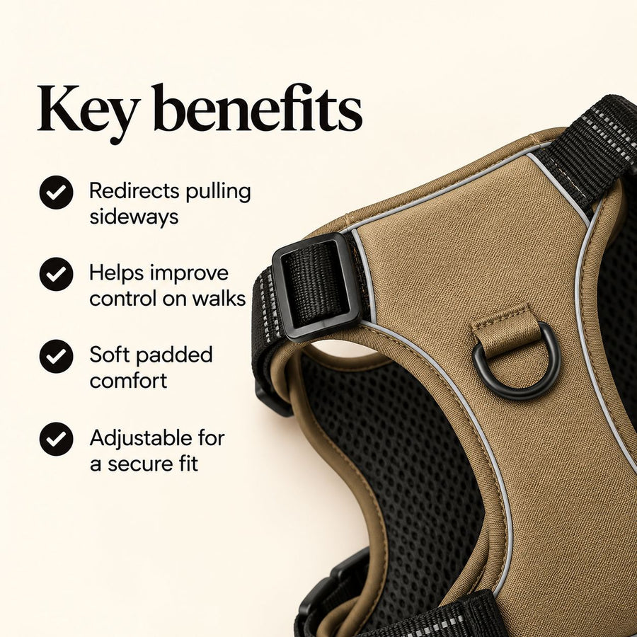 Reinforced No Pull Harness