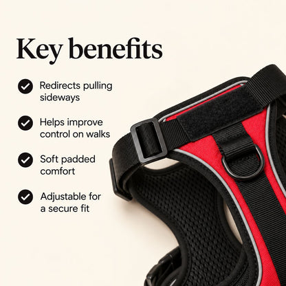 No-Pull Harness