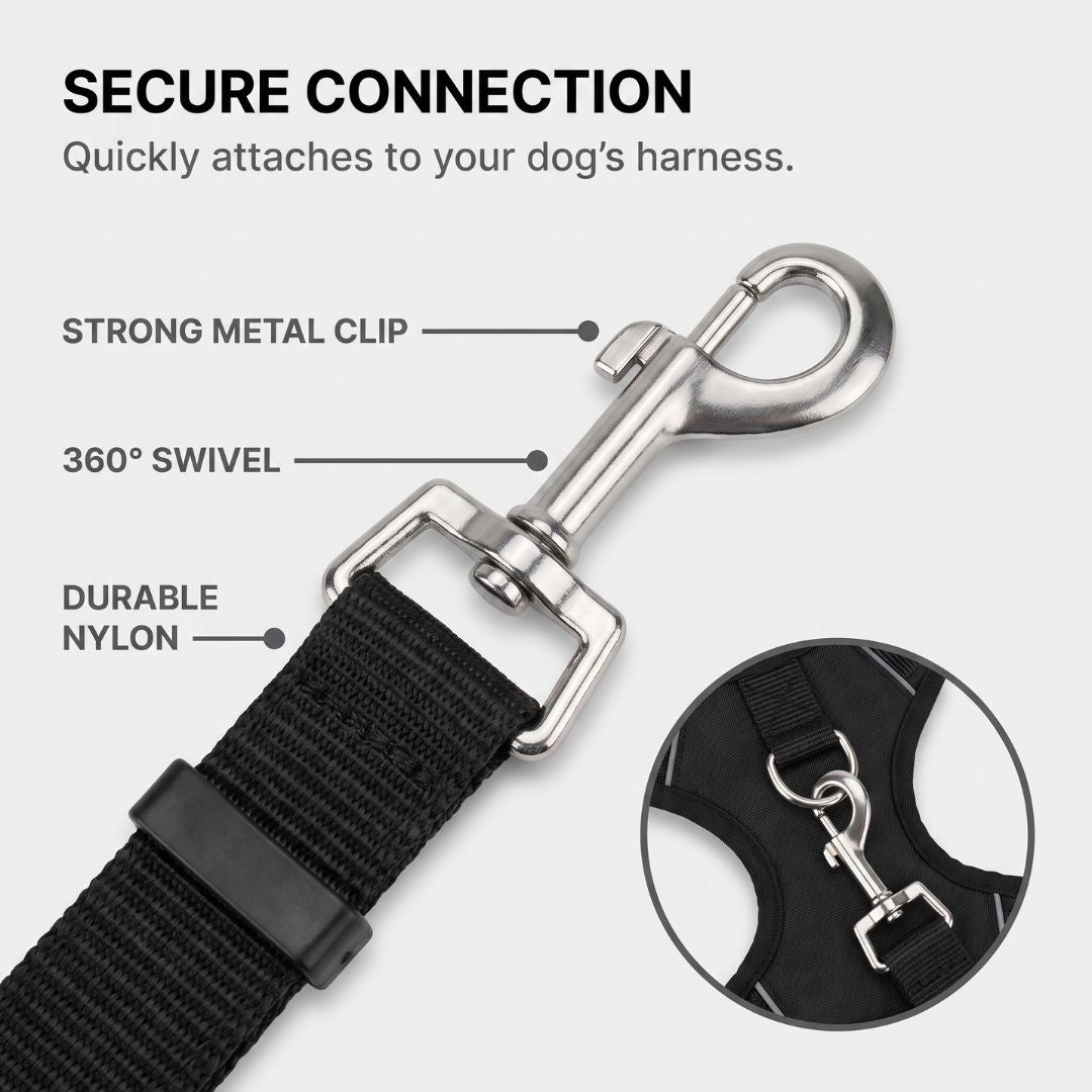 Car Safety Leash