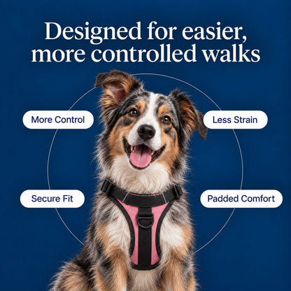 No-Pull Harness