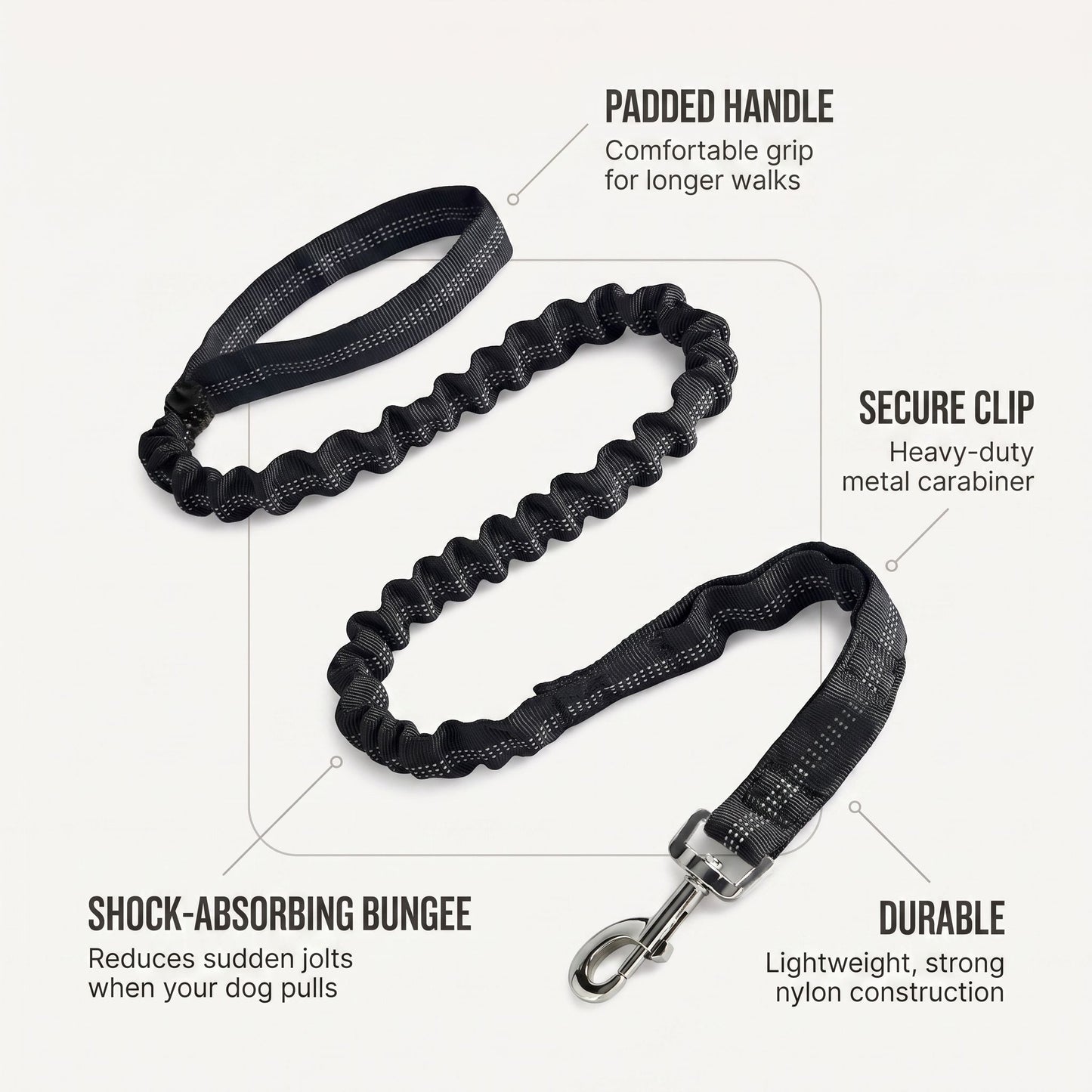 Bungee Dog Leash