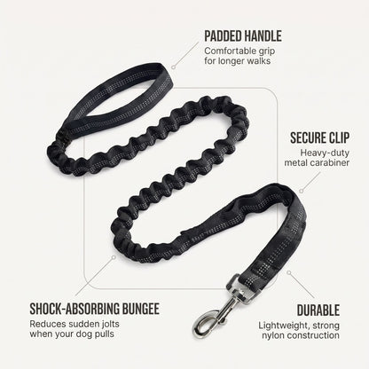 Bungee Dog Leash