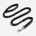 Bungee Dog Leash