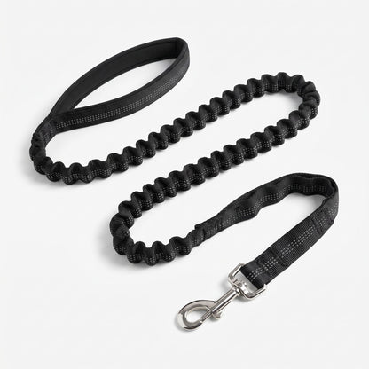 Bungee Dog Leash