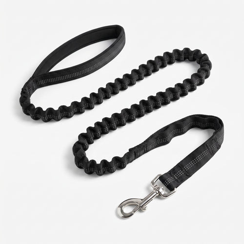 Bungee Dog Leash