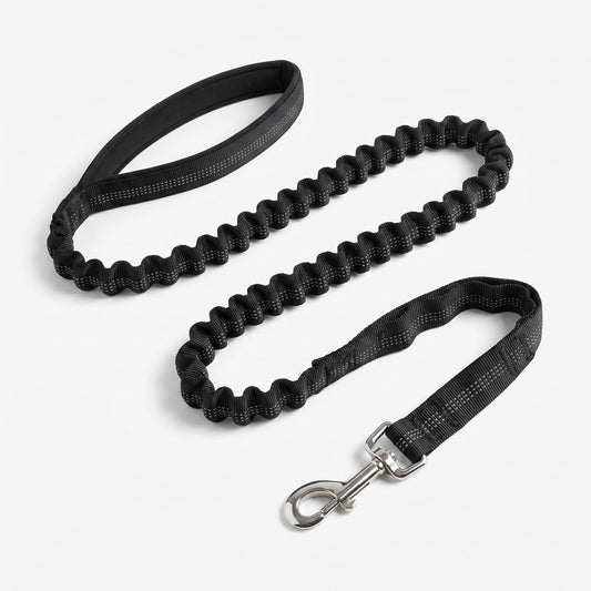 Bungee Dog Leash