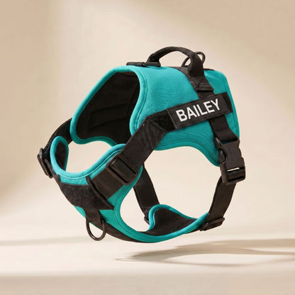 LOWEN™ No-Pull Harness