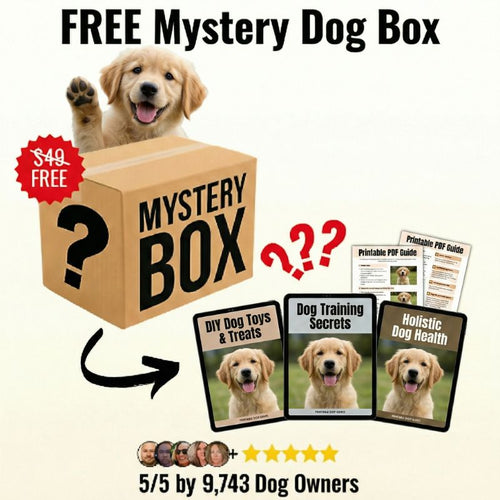Mystery Digital Box [FREE TODAY]