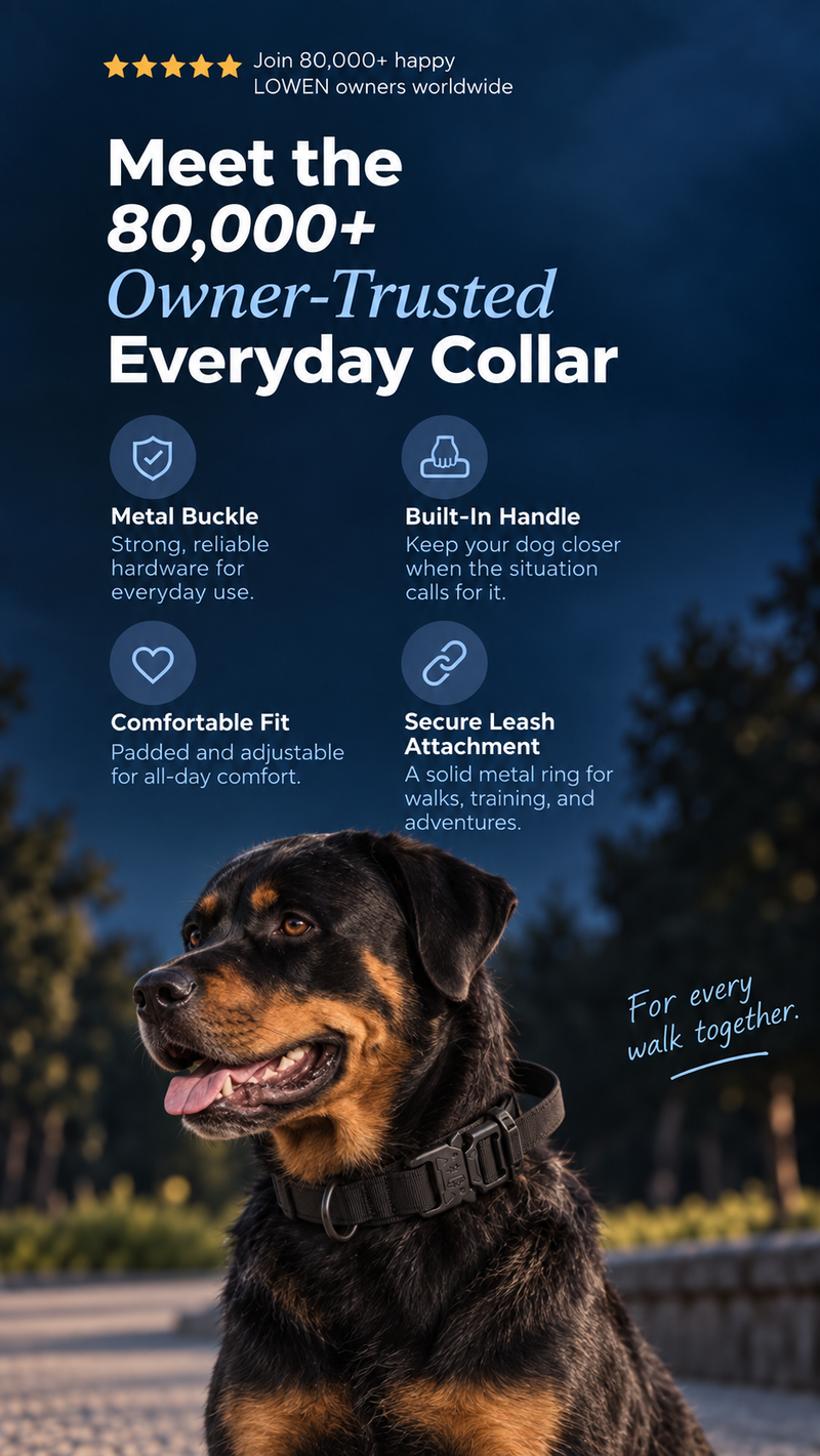 LOWEN No-Pull Harness — trusted by 80,000+ dog owners