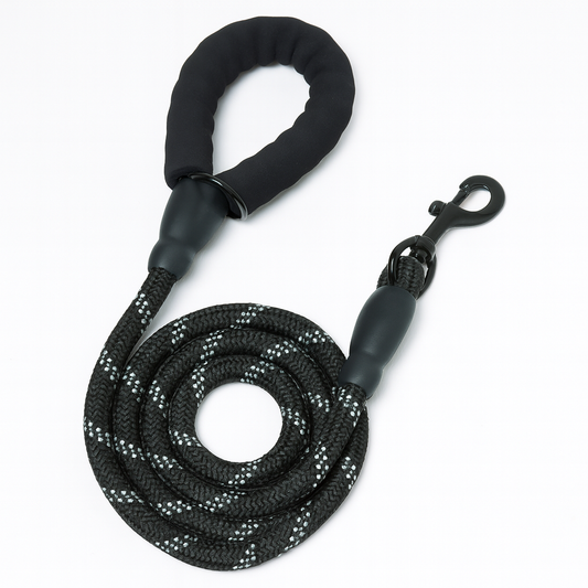 Standard Dog Leash