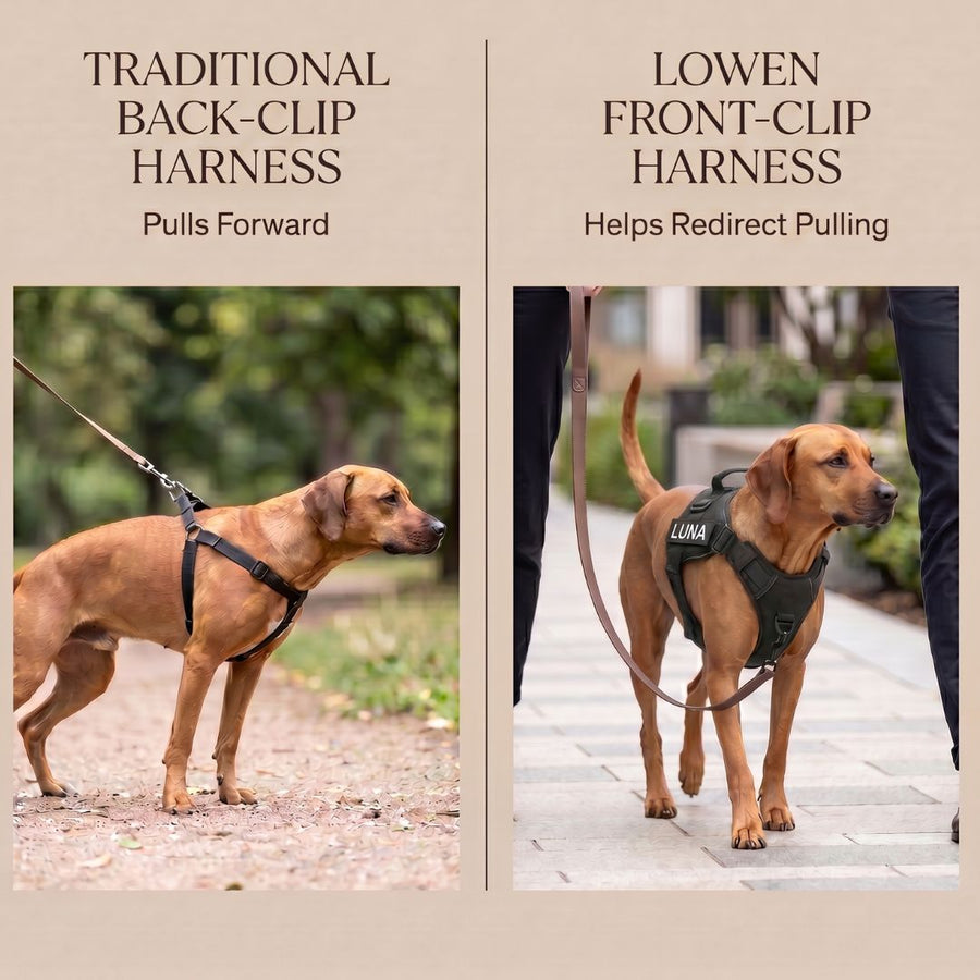 LOWEN™ No-Pull Harness