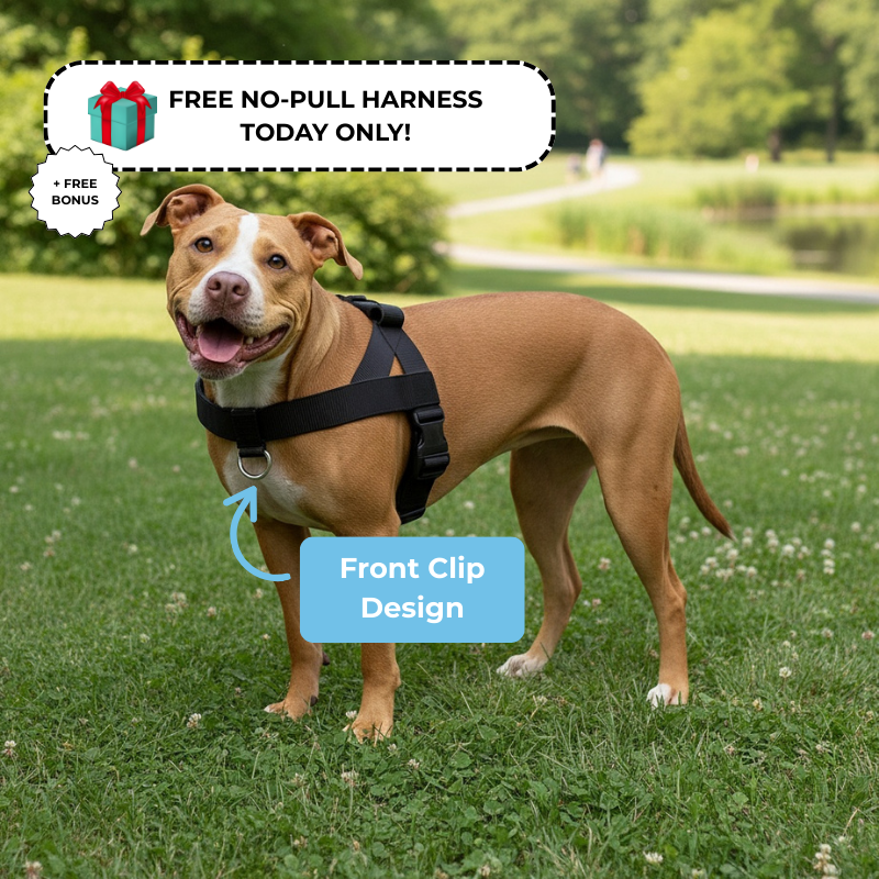 LOWEN™ No-Pull Harness [FREE TODAY]