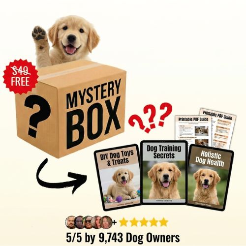 Mystery Digital Box